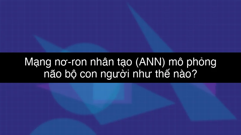 Mạng nơ-ron nhân tạo (ANN) mô phỏng não bộ con người như thế nào?
