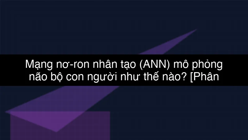 Mạng nơ-ron nhân tạo (ANN) mô phỏng não bộ con người như thế nào? schema